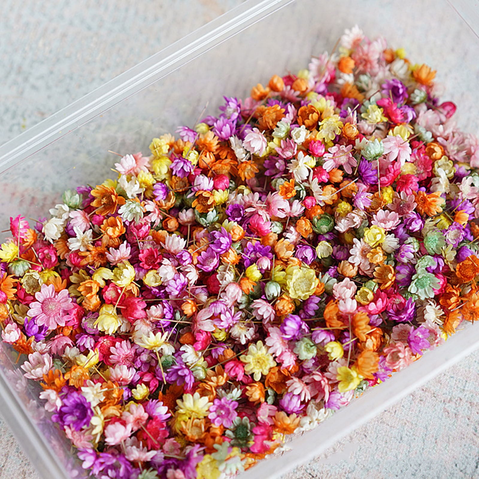 Picture of Real Dried Flower Resin Jewelry Craft Filling Material Multicolor 1 Packet