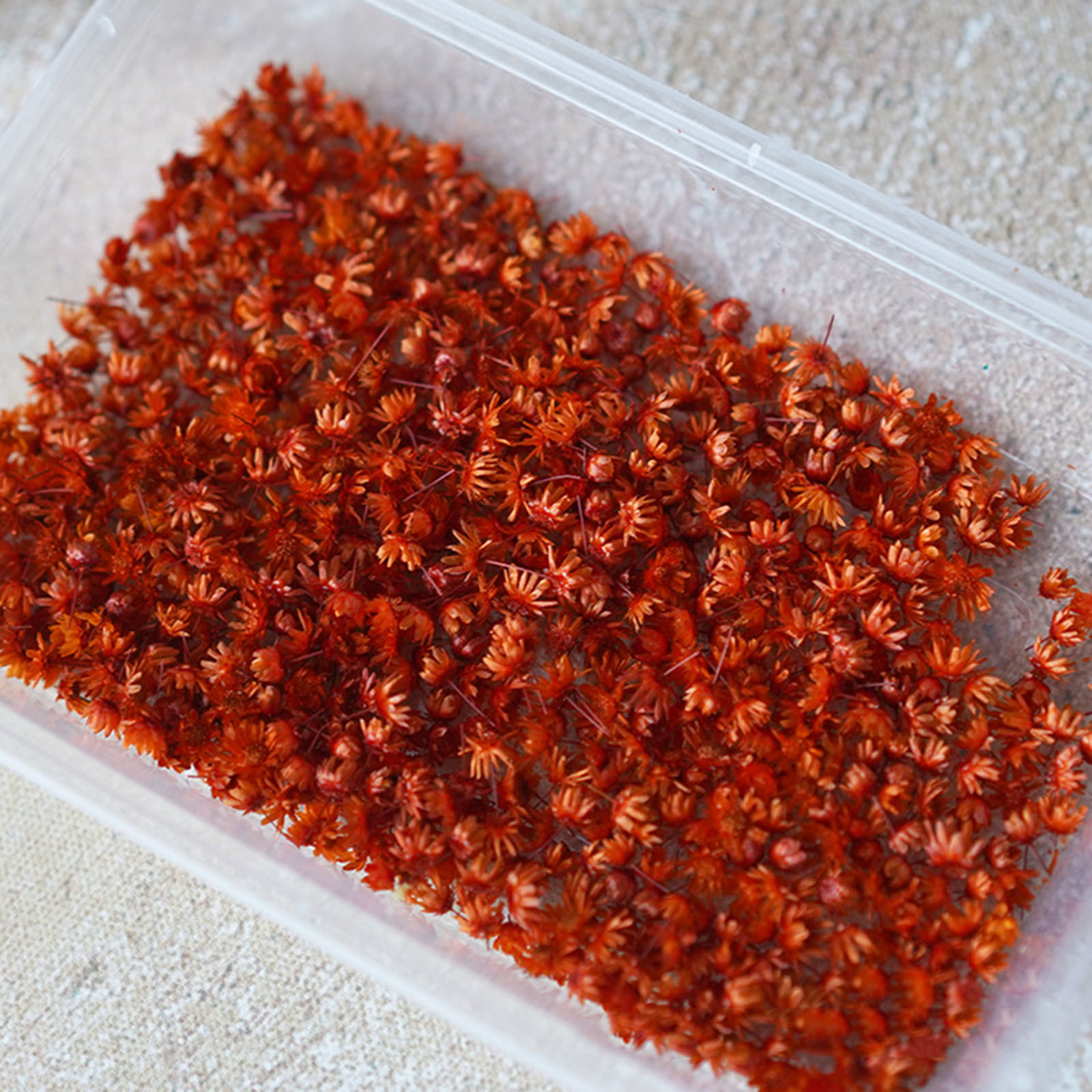 Picture of Real Dried Flower Resin Jewelry Craft Filling Material Orange 1 Packet