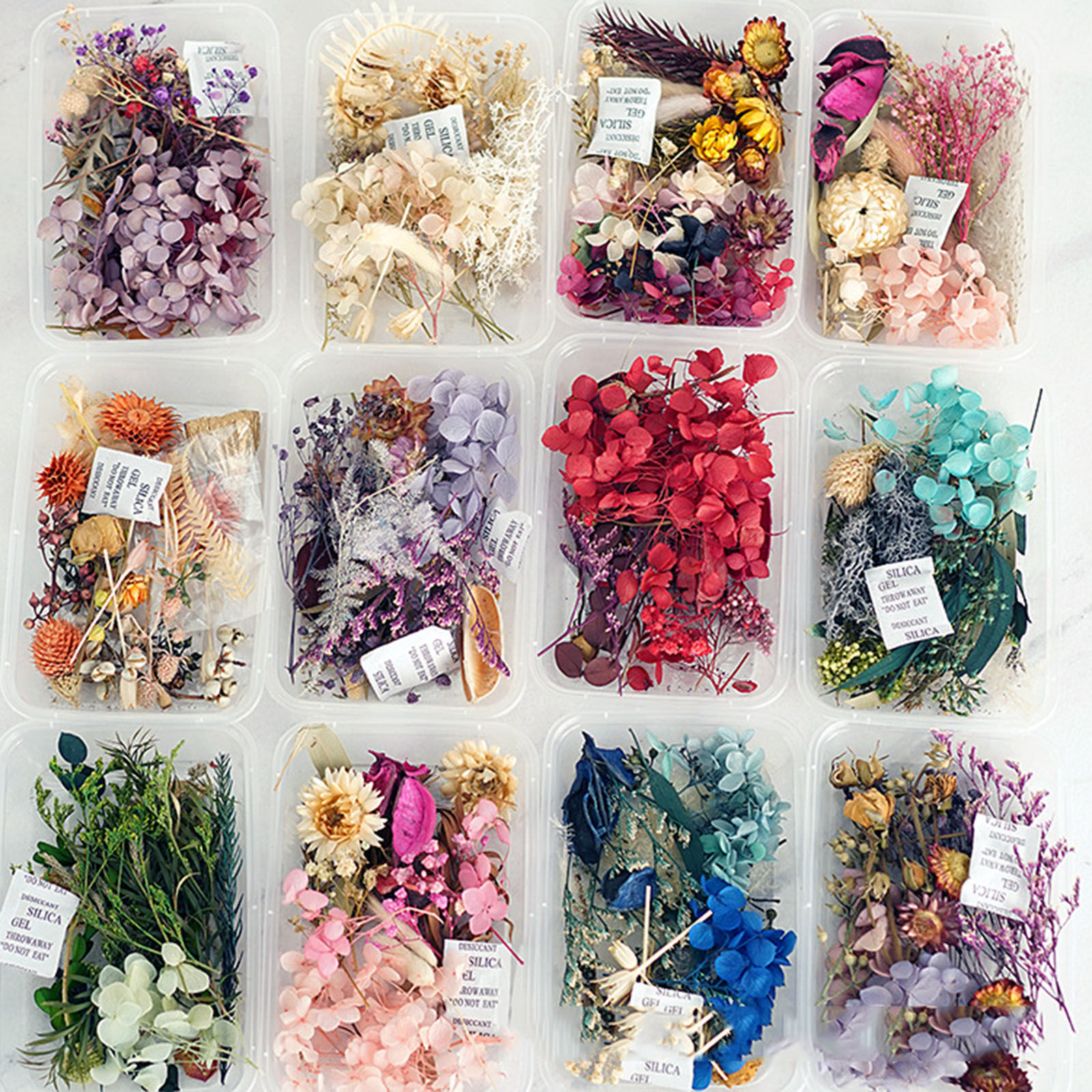 Picture of Real Dried Flower Resin Jewelry Craft Filling Material Blue 12cm x 8cm, 1 Box