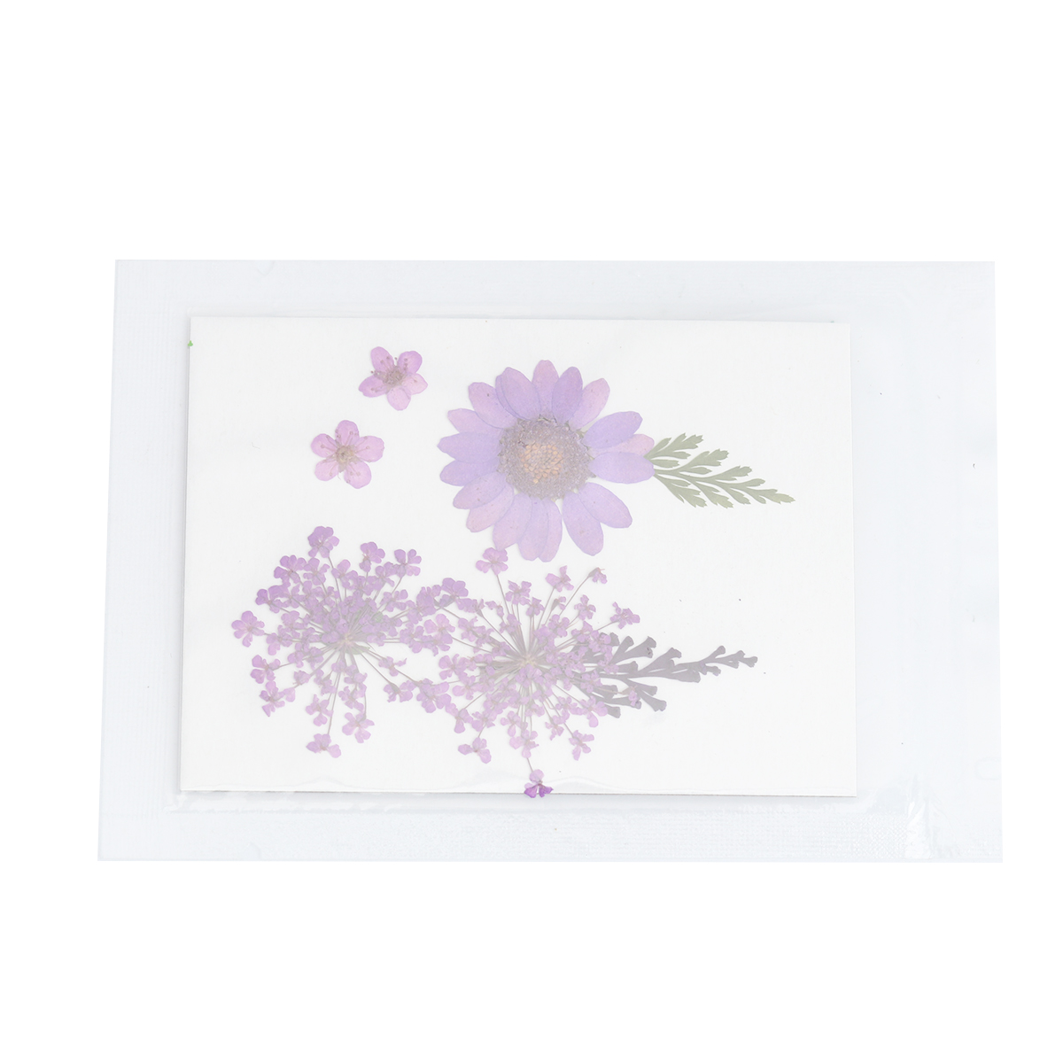 Picture of Real Dried Flower Resin Jewelry Craft Filling Material Purple 3.8cm x 2.5cm - 0.7cm x 0.7cm, 1 Packet ( 7 PCs/Packet)
