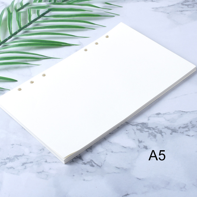 Picture of A5 Paper Loose Leaf Notebook Inner Page Refill Spiral Binder White Rectangle 1 Copy