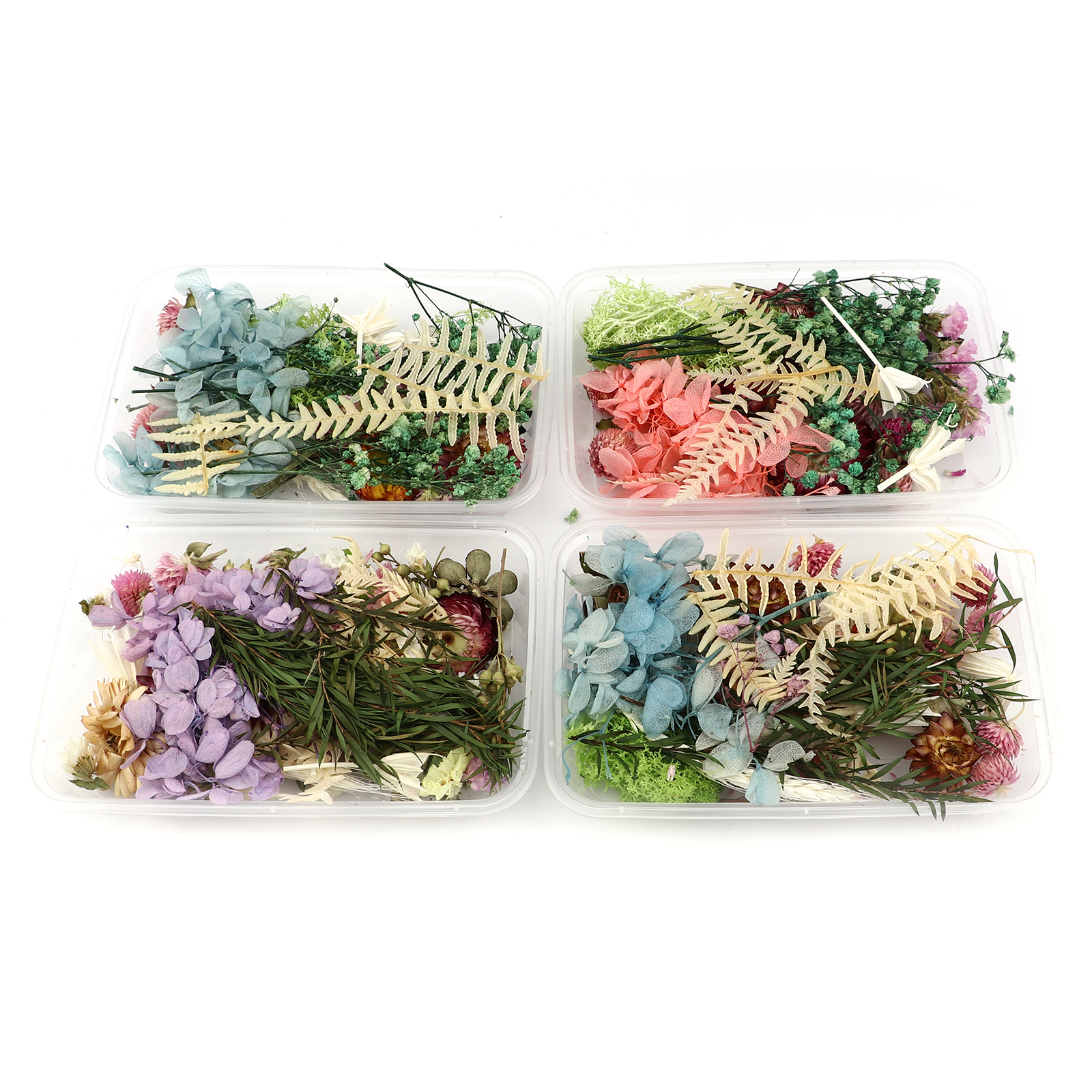 Picture of Real Dried Flower Resin Jewelry Craft Filling Material At Random Color 17cm x 12cm, 1 Box