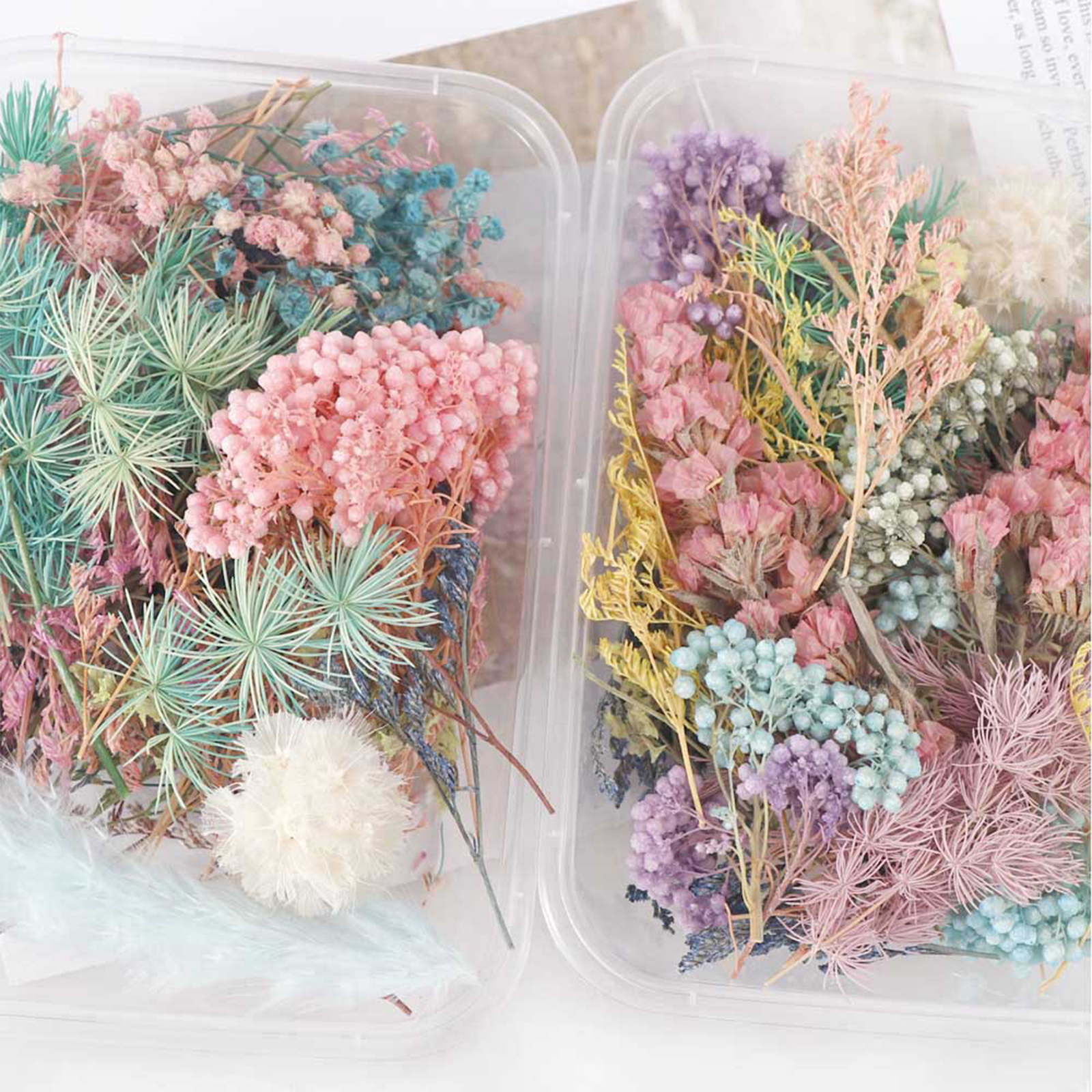 Picture of Real Dried Flower Resin Jewelry Craft Filling Material At Random Color 17cm x 12cm, 1 Box