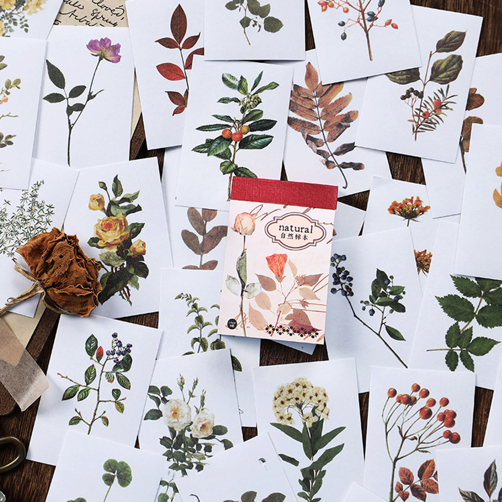 Immagine di Carta Giapponese DIY Decorazione Di Scrapbook Adesivi Multicolore 6cm x 4cm, 1 Copia