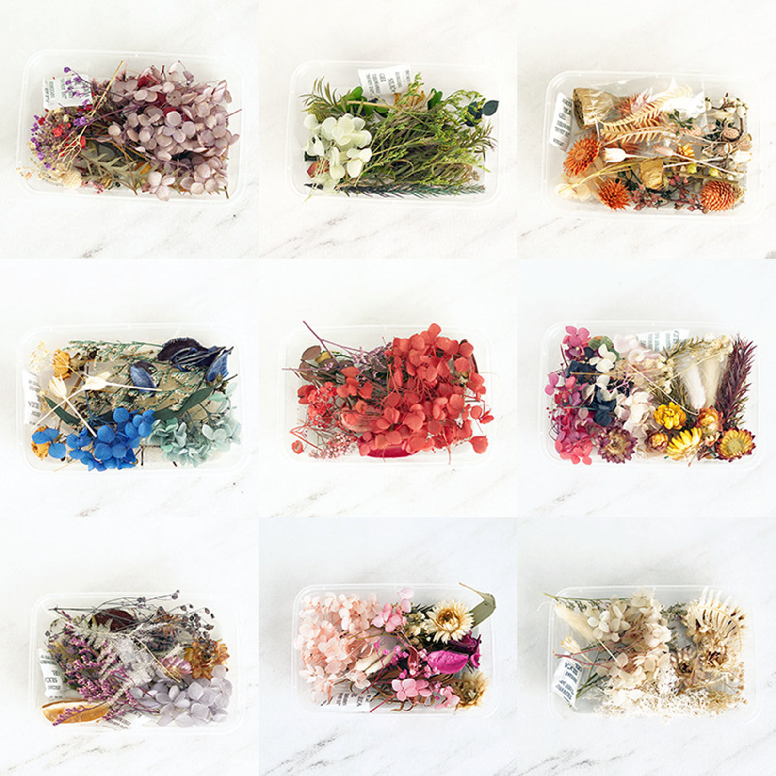 Picture of Real Dried Flower Resin Jewelry Craft Filling Material Multicolor 12cm x 8cm, 1 Box
