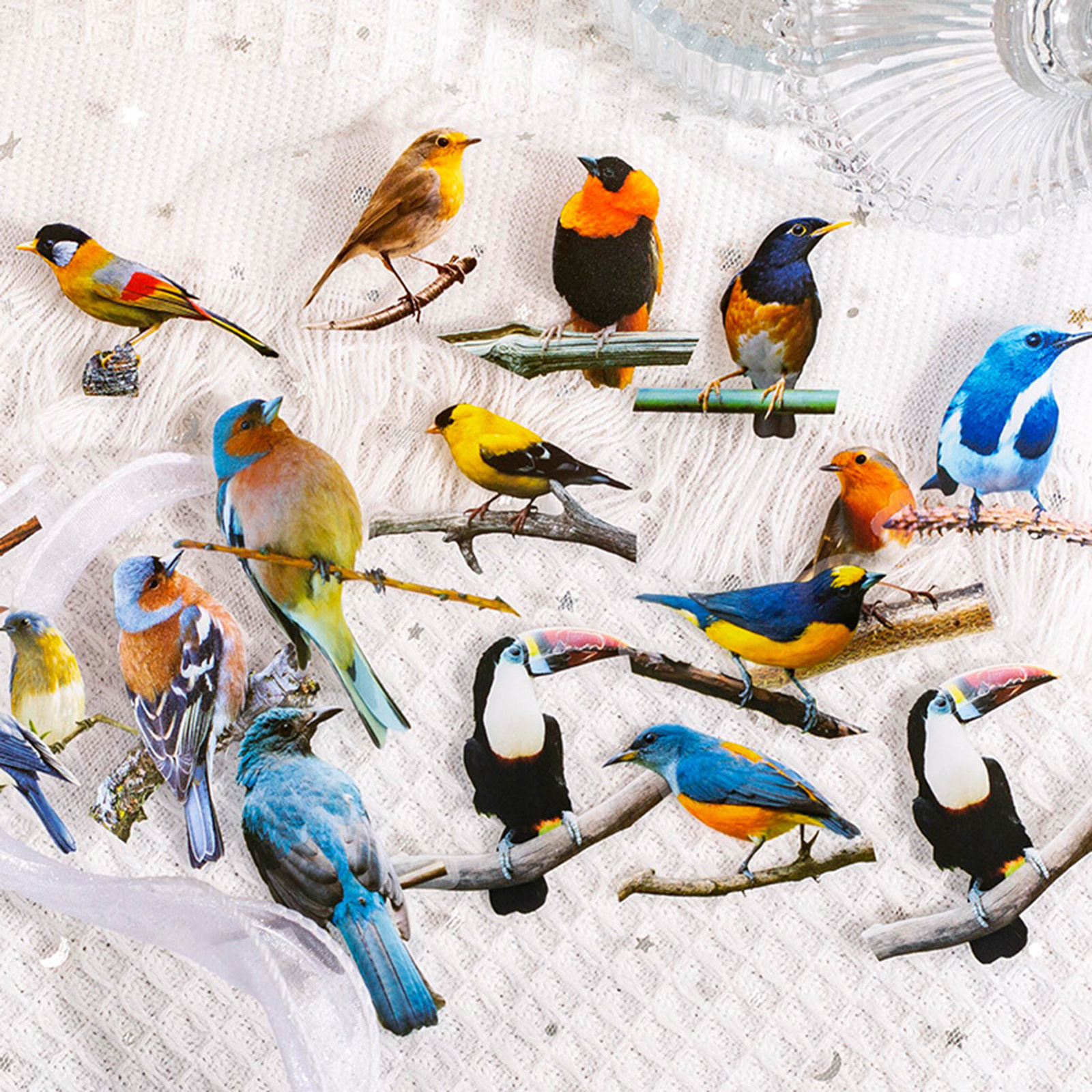 Immagine di PET DIY Decorazione Di Scrapbook Adesivi Multicolore Uccello 10cm x 5cm, 1 Serie ( 30 Pz/Serie)