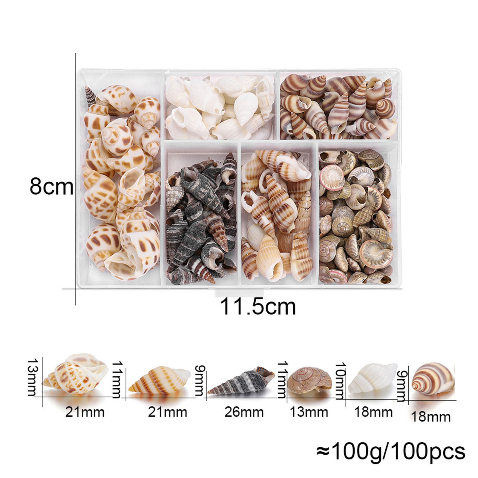 Picture of Shell DIY Handmade Craft Materials Accessories Natural Conch/ Sea Snail 1 Box