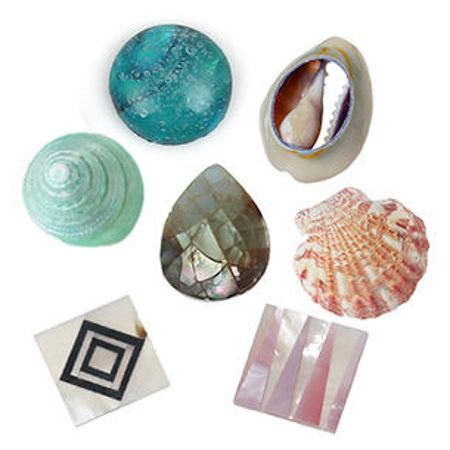 Picture for category Shell Cabochon