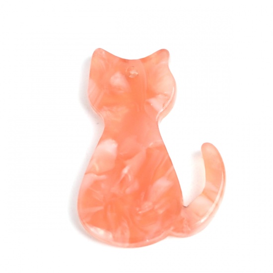 Immagine di Acetato Resina Acetica Acetato Acrilico Marmo Charms Gatto Arancione 25mm x 17mm, 5 Pz