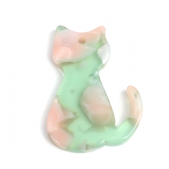 Immagine di Acetato Resina Acetica Acetato Acrilico Marmo Charms Gatto Verde & Rosa Pallido 25mm x 17mm, 5 Pz