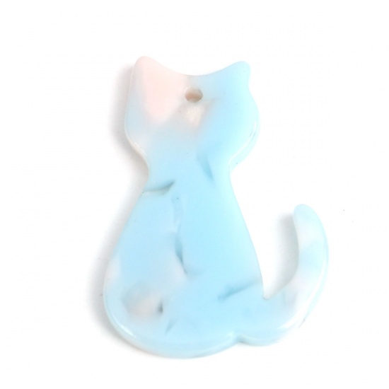 Immagine di Acetato Resina Acetica Acetato Acrilico Marmo Charms Gatto Blu Pallido & Rosa Pallido 25mm x 17mm, 5 Pz