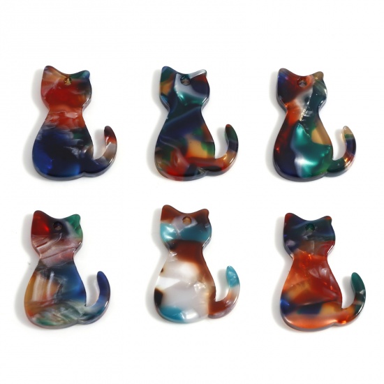 Immagine di Acetato Resina Acetica Acetato Acrilico Marmo Charms Gatto Multicolore 25mm x 17mm, 5 Pz