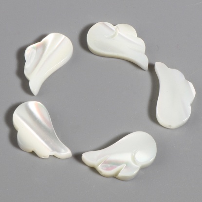 Image de Perles en Coquille Aile Crème 16mm x 9mm, Taille de Trou: 0.8mm, 5 Pcs
