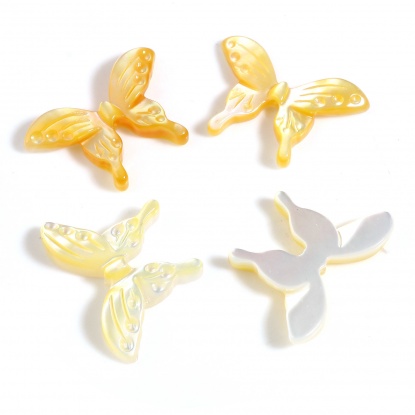 Picture of Insect Natural Shell Loose Beads Butterfly Animal Yellow About 20mm x 14mm, Hole:Approx 0.8mm, 1 Piece