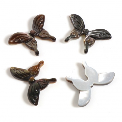 Picture of Insect Natural Shell Loose Beads Butterfly Animal Taupe Gray About 20mm x 14mm, Hole:Approx 0.8mm, 1 Piece