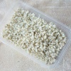 Picture of Real Dried Flower Resin Jewelry Craft Filling Material White 1 Packet