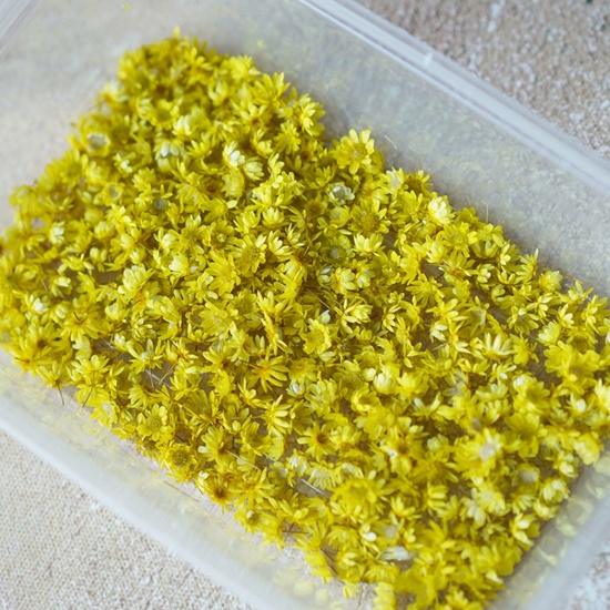 Bild von Getrocknete Blumen Harz Schmuck Handwerk Füllmaterial Gelb 1 Packung
