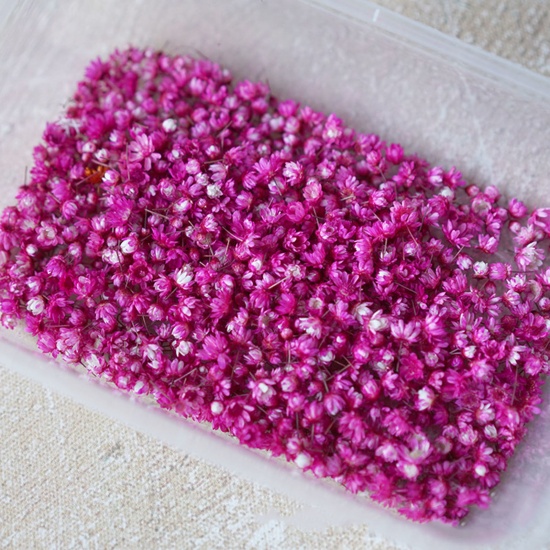 Bild von Getrocknete Blumen Harz Schmuck Handwerk Füllmaterial Fuchsie 1 Packung