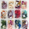 Picture of Real Dried Flower Resin Jewelry Craft Filling Material Yellow 12cm x 8cm, 1 Box