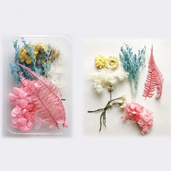 Image de Matériaux de Remplissage pour Bijoux de Résine en Fleurs Séchées Multicolore 17cm x 12cm, 1 Boîte