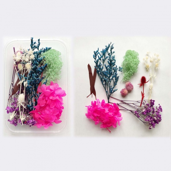 Image de Matériaux de Remplissage pour Bijoux de Résine en Fleurs Séchées Multicolore 17cm x 12cm, 1 Boîte