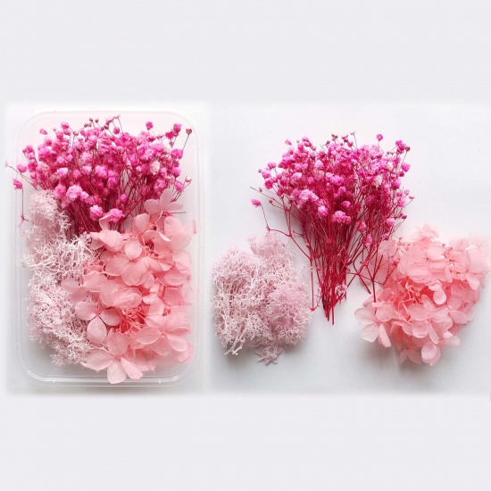 Image de Matériaux de Remplissage pour Bijoux de Résine en Fleurs Séchées Rose 17cm x 12cm, 1 Boîte