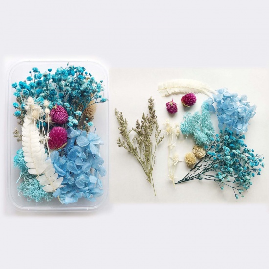 Image de Matériaux de Remplissage pour Bijoux de Résine en Fleurs Séchées Bleu 17cm x 12cm, 1 Boîte