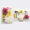 Picture of Real Dried Flower Resin Jewelry Craft Filling Material Multicolor 17cm x 12cm, 1 Box
