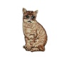 Picture of Polyester Iron On Patches Appliques (With Glue Back) Craft Brown Cat Animal 5cm x 2.7cm, 5 PCs