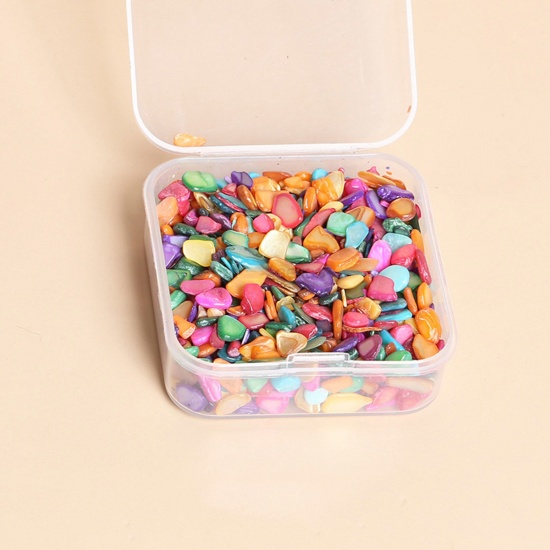 Immagine di Conchiglia ( tintura ad alta temperatura ) Cabochon (Senza Foro) Multicolore Scheggia di Perle 3mm - 2mm, 1 Scatola