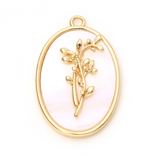 Immagine di Conchiglia + Rame Fiore del Mese di Nascita Charms Ovale Oro riempito Bianco Stella di Natale 27mm x 18mm, 1 Pz