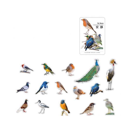 Immagine di PET DIY Decorazione Di Scrapbook Adesivi Multicolore Uccello 10cm x 5cm, 1 Serie ( 30 Pz/Serie)
