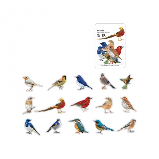 Immagine di PET DIY Decorazione Di Scrapbook Adesivi Multicolore Uccello 10cm x 5cm, 1 Serie ( 30 Pz/Serie)