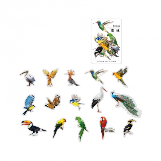 Immagine di PET DIY Decorazione Di Scrapbook Adesivi Multicolore Uccello 10cm x 5cm, 1 Serie ( 30 Pz/Serie)