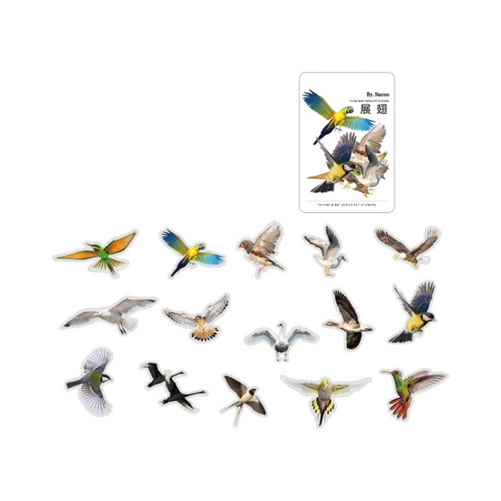 Immagine di PET DIY Decorazione Di Scrapbook Adesivi Multicolore Uccello 10cm x 5cm, 1 Serie ( 30 Pz/Serie)