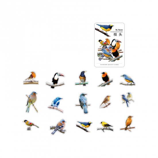 Immagine di PET DIY Decorazione Di Scrapbook Adesivi Multicolore Uccello 10cm x 5cm, 1 Serie ( 30 Pz/Serie)