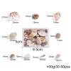 Picture of ( 90g ) Shell DIY Handmade Craft Materials Accessories Natural Conch/ Sea Snail 1 Box