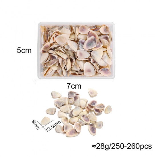 Picture of ( 90g ) Shell DIY Handmade Craft Materials Accessories Natural Conch/ Sea Snail 1 Box