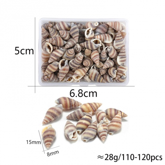 Picture of ( 90g ) Shell DIY Handmade Craft Materials Accessories Natural Conch/ Sea Snail 1 Box