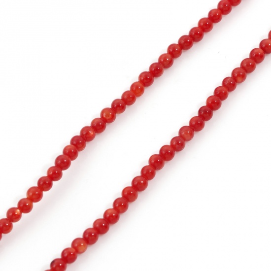 Bild von Muschel Perlen für die Herstellung von DIY-Charme-Schmuck Rund Rot 3mm D., Loch:ca. 0.4mm, 38cm lang, 1 Strang 132 Stücke/Strang,