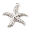 Picture of Eco-friendly 304 Stainless Steel Ocean Jewelry Pendants Silver Tone Star Fish 3.5mm x 3.5mm, 2 PCs