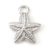 Picture of Eco-friendly 304 Stainless Steel Ocean Jewelry Charms Silver Tone Star Fish 15mm x 12mm, 2 PCs