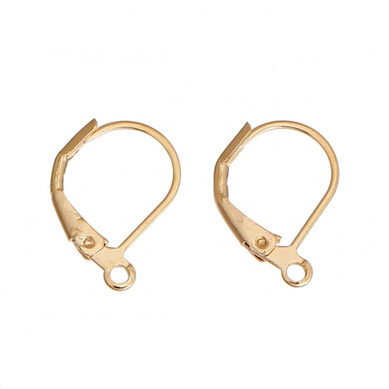 Picture of Zinc Based Alloy Lever Back Clips Earrings Findings Gold Plated W/ Loop 16mm x 10mm, 10 PCs