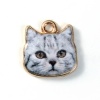 Picture of Zinc Based Alloy Charms Cat Animal Gold Plated Gray 13mm( 4/8") x 13mm( 4/8"), 10 PCs