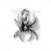 Picture of Zinc Based Alloy (Lead & Nickel Safe) Charms Halloween Spider Animal Antique Silver 18mm( 6/8") x 13mm( 4/8"), 30 PCs