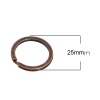 Picture of Iron Based Alloy Keychain & Keyring Round Antique Copper 25mm Dia, 10 PCs