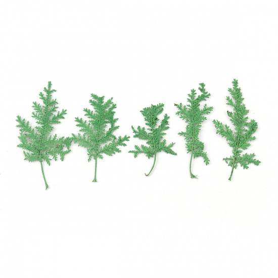 Picture of Natural Leaf Resin Jewelry Tools At Random Green 7.8cm x5.2cm(3 1/8" x2") - 4.5cm x2.8cm(1 6/8" x1 1/8"), 1 Packet ( 10 PCs/Packet)