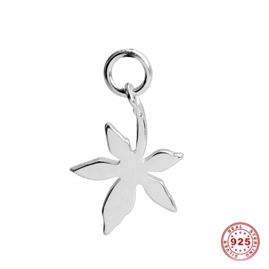 Picture of Sterling Silver Charms Silver Maple Leaf W/ Jump Ring 15mm( 5/8") x 9mm( 3/8"), 1 Piece