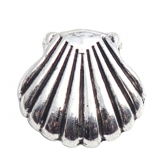 Picture of Zinc Based Alloy Ocean Jewelry Beads Shell Antique Silver 12mm x 12mm, Hole: Approx 3mm, 30 PCs