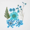 Picture of Real Dried Flower Resin Jewelry Craft Filling Material Green Blue 3.8cm x 2.5cm - 0.7cm x 0.7cm, 1 Packet ( 7 PCs/Packet)